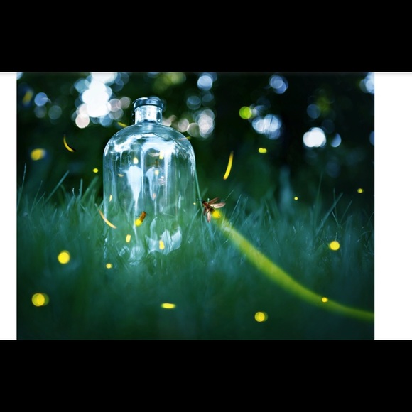 I got my first real six-string
Bought it at the - Picture 4 of 8